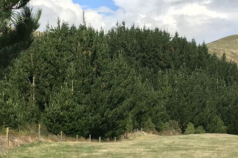 Photo of property in 487 Whangamata Road, Kinloch, Taupo, 3377