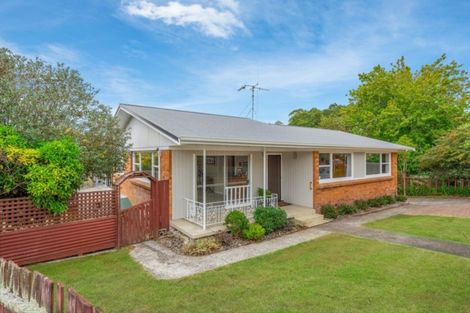 Photo of property in 31 Pelorus Street, Glenview, Hamilton, 3206