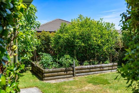 Photo of property in 7 Parkwood Place, Papamoa Beach, Papamoa, 3118