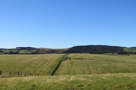 Photo of property in 14 Forest Hill Cemetery Road, Lochiel, Winton, 9781