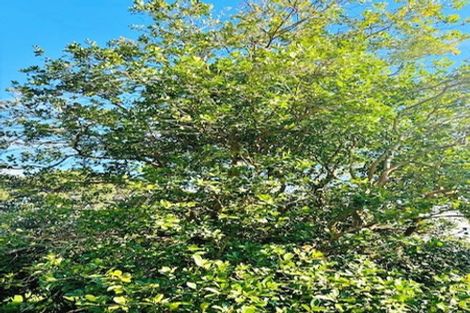 Photo of property in 66a Walker Road, Awanui, 0486