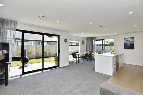 Photo of property in 45 Mcquillan Avenue, Woodend, 7610