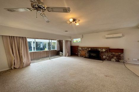 Photo of property in 51 Dillon Street, Blenheim, 7201