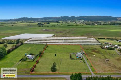 Photo of property in 493 Grieve Road, Te Teko, Whakatane, 3193