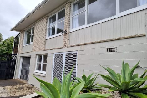 Photo of property in 24b La Veta Avenue, Mount Albert, Auckland, 1025
