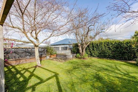 Photo of property in 14 Goodger Street, Waipukurau, 4200