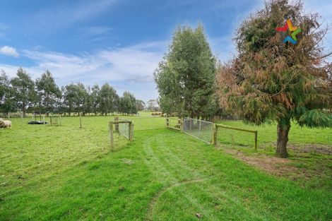 Photo of property in 220 Mill Road South, Seaward Bush, Invercargill, 9871