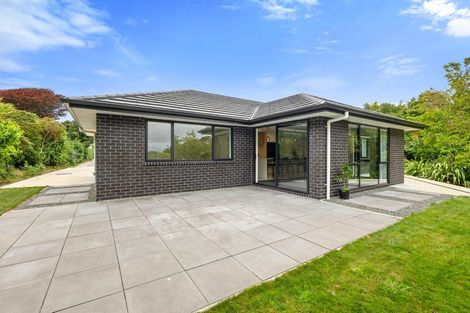 Photo of property in 278a Tukapa Street, Hurdon, New Plymouth, 4310