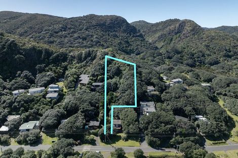 Photo of property in 37 North Piha Road, Piha, 0772