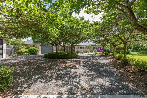 Photo of property in 11 Bridge Street, Southbridge, 7602