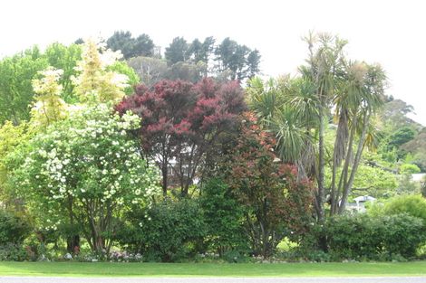 Photo of property in 123 Russell Street, Whataupoko, Gisborne, 4010