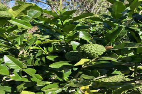 Photo of property in 15 Tarahunga Road, Levin, 5571