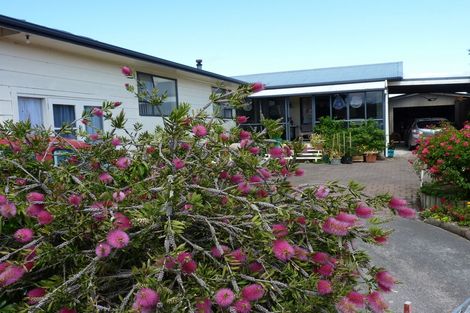 Photo of property in 9 Newberry Place, Richmond Heights, Taupo, 3330