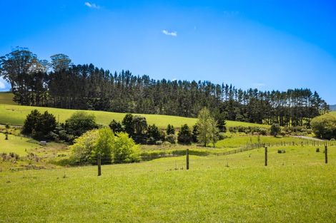 Photo of property in 554d Te Ahu Ahu Road, Waimate North, Kerikeri, 0293