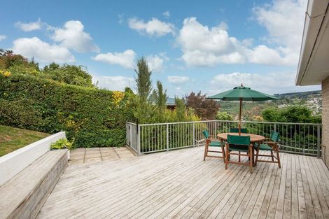 Photo of property in 41 Lundie Street, Kaikorai, Dunedin, 9010