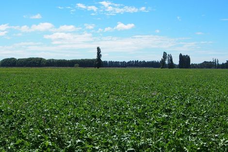 Photo of property in 1/3389 State Highway 2, Takapau, 4281