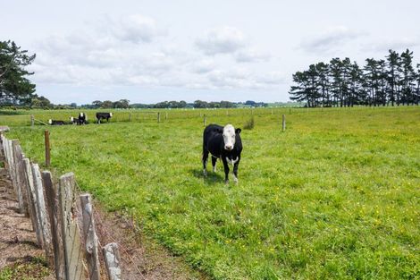 Photo of property in 10 Green Road, Awahuri, Palmerston North, 4479