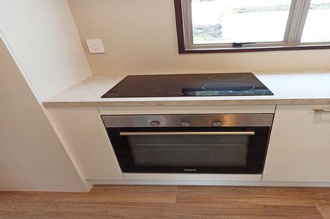 Photo of property in 60 Glen Road, Mornington, Dunedin, 9011