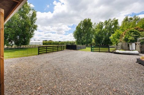 Photo of property in 204 Kawakawa Road, Feilding, 4775