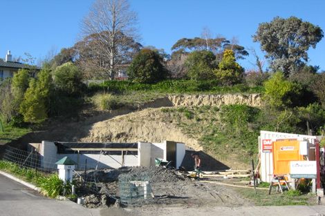 Photo of property in 10a Shortland Place, Havelock North, 4130