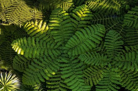 Photo of property in 29d Greenhithe Road, Greenhithe, Auckland, 0632