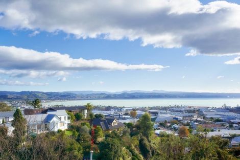 Photo of property in 23 Denholm Road, Hospital Hill, Napier, 4110