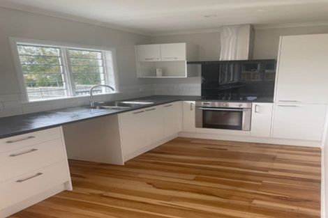 Photo of property in 34 Paerata Road, Pukekohe, 2120