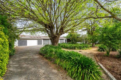 Photo of property in 77 High Street, Solway, Masterton, 5810