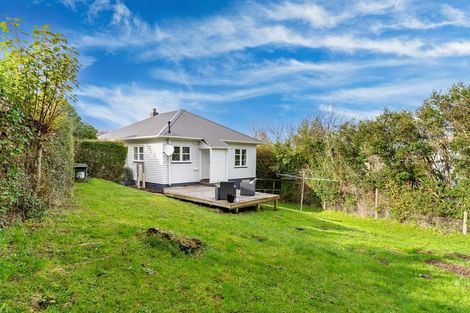 Photo of property in 113 Chapman Street, Wakari, Dunedin, 9010