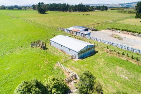 Photo of property in 176 Whitmore Road, Linton, Palmerston North, 4472
