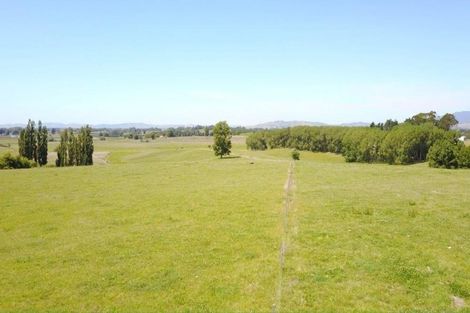 Photo of property in 299 Thorncombe Road, Te Awamutu, 3800