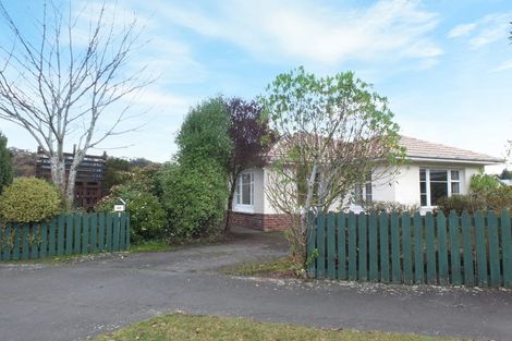 Photo of property in 46 Bradford Street, Bradford, Dunedin, 9011