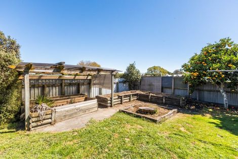 Photo of property in 810 Williams Street, Mahora, Hastings, 4120