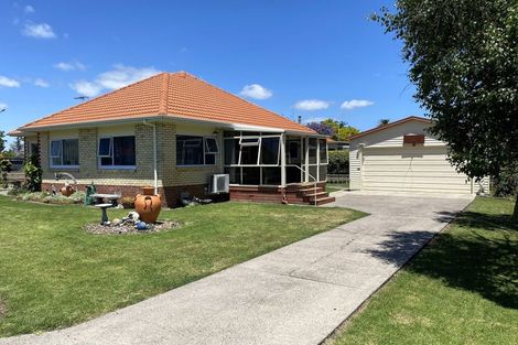 Photo of property in 113 Banks Street, Thames, 3500