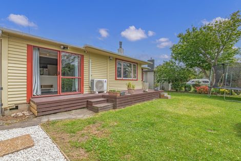 Photo of property in 24 Snowdon Avenue, Terrace End, Palmerston North, 4410