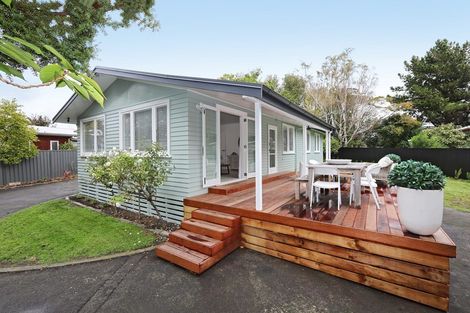 Photo of property in 21b Te Aute Road, Havelock North, 4130