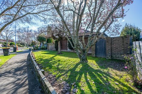 Photo of property in 18a Montgomery Terrace, Hokowhitu, Palmerston North, 4410