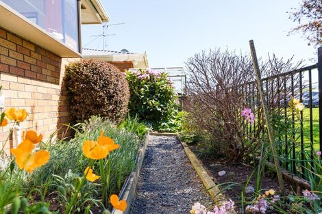 Photo of property in 185b Gordon Road, Mosgiel, 9024