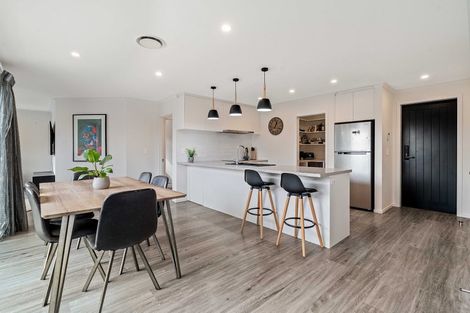 Photo of property in 273 Island Road, Kaiapoi, 7630