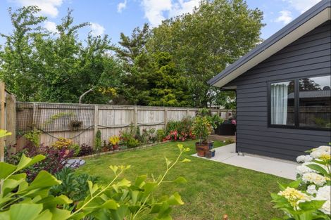 Photo of property in 28a Alfred Street, Roslyn, Palmerston North, 4414