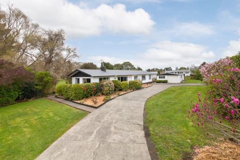 Photo of property in 81b Mill Street, Marton, 4710