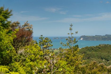 Photo of property in 57 Tarapatiki Drive, Whitianga, 3510
