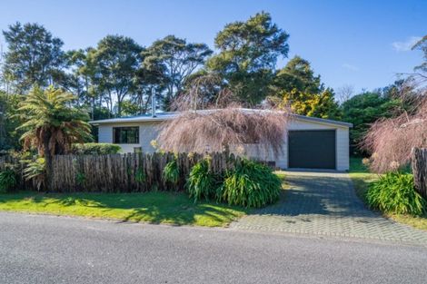 Photo of property in 242 Rereahu Avenue, Hatepe, Turangi, 3382