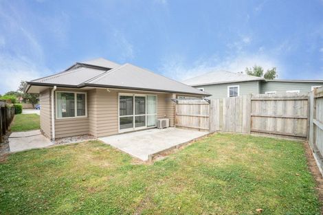 Photo of property in 205 College Street, West End, Palmerston North, 4412