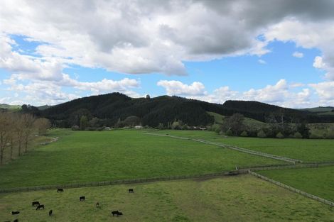 Photo of property in 605 Tirau Road, Cambridge, 3496