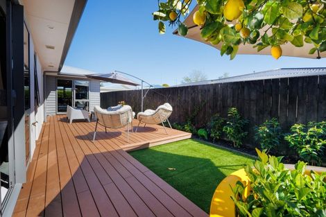 Photo of property in 55b Ferguson Street, Awapuni, Palmerston North, 4412