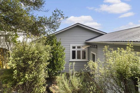 Photo of property in 19 Princess Terrace, Newtown, Wellington, 6021