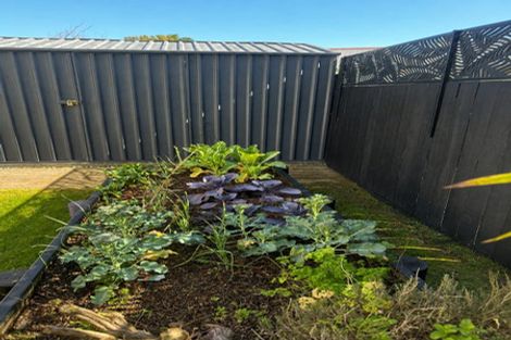 Photo of property in 17 Bayfair Drive, Mount Maunganui, 3116