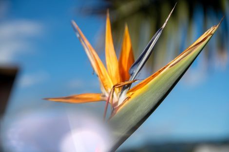 Photo of property in 22 Aperahama Street, Paekakariki, 5034