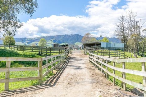 Photo of property in 570 Tauranga Road, Te Poi, Matamata, 3473
